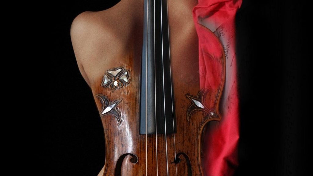 violin, body, illusion-7704277.jpg